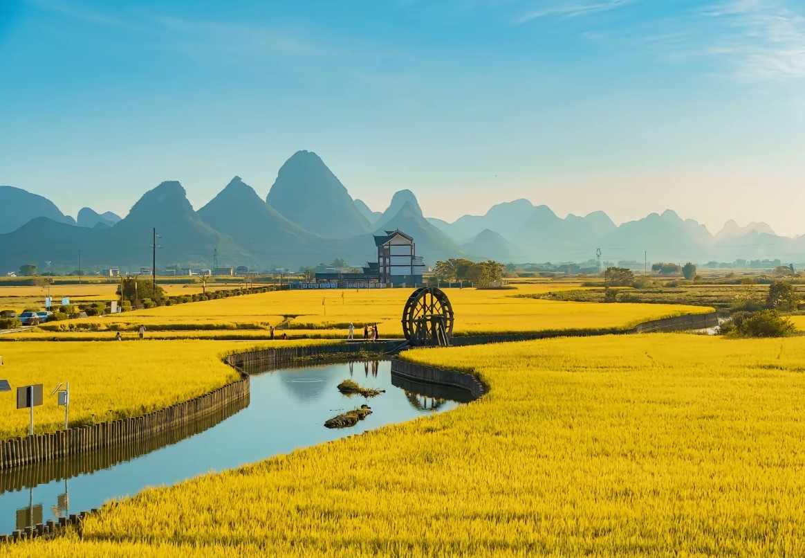 《稻浪尽头的手绘秋天》爱情不是等待稻熟，而是学会在荒芜里种出春天