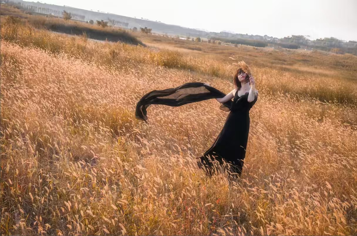 《山间的秋天》第一缕秋风翻过山脊时，整座山都醒了